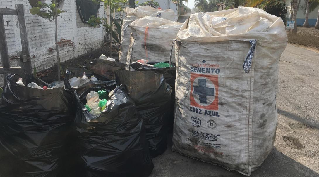 Plastic bottles collected by Projects Abroad Conservation volunteers in Mexico.